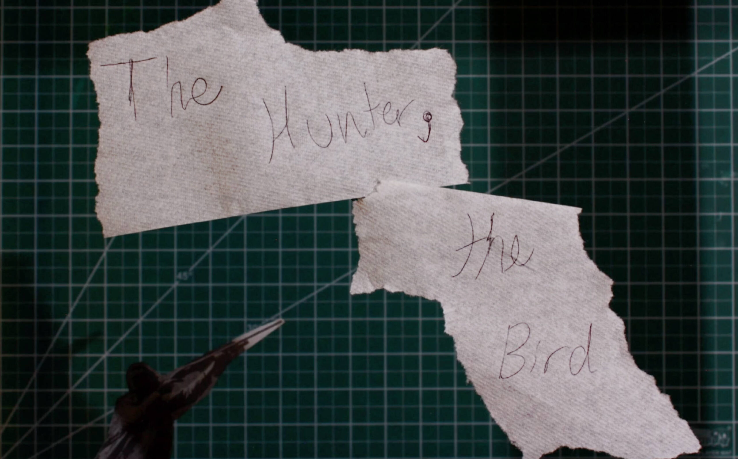 The Hunter, the Bird (2026)